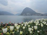 Lugano &ndash; &copy; Gisela Gerlach (Eberhardt TRAVEL)