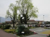 Ascona &ndash; &copy; Gisela Gerlach (Eberhardt TRAVEL)