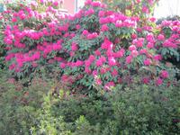 Locarno &ndash; &copy; Gisela Gerlach (Eberhardt TRAVEL)
