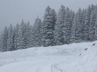 0141 Winter auf der Schwägalp