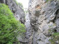 Aareschlucht &ndash; &copy; Gisela Gerlach (Eberhardt TRAVEL)