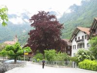 Brienz &ndash; &copy; Gisela Gerlach (Eberhardt TRAVEL)