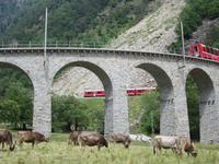 Kreisviadukt in Brusio- der Zug kommt ! &ndash; &copy; Gisela Gerlach (Eberhardt TRAVEL)