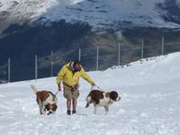 Gornergrat &ndash; &copy; Gisela Gerlach (Eberhardt TRAVEL)