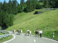 IMG_7639 &ndash; &copy; Gisela Gerlach (Eberhardt TRAVEL)