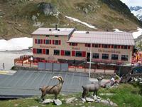 Grimselpass &ndash; &copy; Steffen Mucke (Eberhardt TRAVEL)