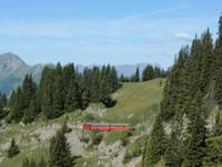 Schynige Platte Bahn &ndash; &copy; Gisela Preuß (Eberhardt TRAVEL)