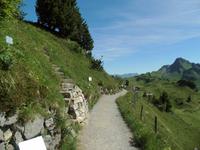 im Alpengarten &ndash; &copy; Gisela Preuß (Eberhardt TRAVEL)