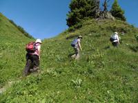 im Alpengarten &ndash; &copy; Gisela Preuß (Eberhardt TRAVEL)