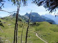 auf der Schynigen Platte &ndash; &copy; Gisela Preuß (Eberhardt TRAVEL)