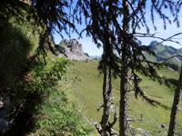 auf der Schynigen Platte &ndash; &copy; Gisela Preuß (Eberhardt TRAVEL)