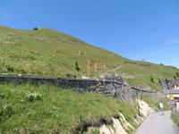 auf der Schynigen Platte &ndash; &copy; Gisela Preuß (Eberhardt TRAVEL)