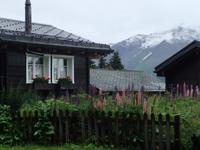 Auf der Riederalp &ndash; &copy; Martina Pötschke (Eberhardt TRAVEL)