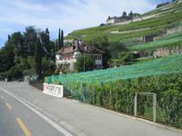 Lavaux &ndash; &copy; Peter Großer (Eberhardt TRAVEL)