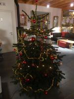 unser geschmückter Weihnachtsbaum