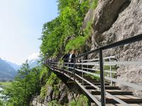 137 Ausflug in die Aareschlucht