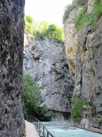146 Ausflug in die Aareschlucht &ndash; &copy; Annette Weise (Eberhardt TRAVEL)
