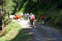 Tag2-Wengen2 &ndash; &copy; Gisela Gerlach (Eberhardt TRAVEL)