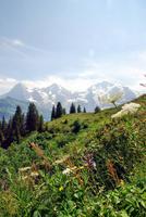 Tag6-Saustal2 &ndash; &copy; Gisela Gerlach (Eberhardt TRAVEL)