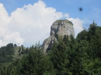 Schynige Platte- &ndash; &copy; Gisela Gerlach (Eberhardt TRAVEL)