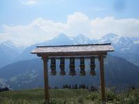 Schynige Platte- &ndash; &copy; Gisela Gerlach (Eberhardt TRAVEL)