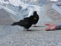 &copy; Sabine Letzybyll (Eberhardt TRAVEL)