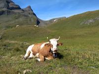 IMG_20150827_114332 &ndash; &copy; Gisela Gerlach (Eberhardt TRAVEL)