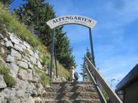 Schynige Platte_unser letzte Programmpunkt &ndash; &copy; Gisela Gerlach (Eberhardt TRAVEL)