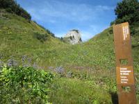 Schynige Platte_unser letzte Programmpunkt &ndash; &copy; Gisela Gerlach (Eberhardt TRAVEL)