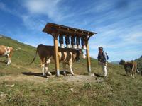 Schynige Platte_unser letzte Programmpunkt &ndash; &copy; Gisela Gerlach (Eberhardt TRAVEL)