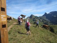 Schynige Platte_unser letzte Programmpunkt &ndash; &copy; Gisela Gerlach (Eberhardt TRAVEL)