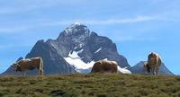 &copy; Gisela Gerlach (Eberhardt TRAVEL)