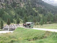 0052 Glacier-Bernina-Express- Kutschfahrt ins Val Roseg &ndash; &copy; Annette Weise (Eberhardt TRAVEL)