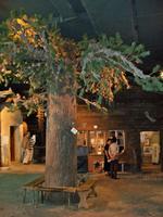 Zermatt, Museum &ndash; &copy; Steffen Mucke (Eberhardt TRAVEL)