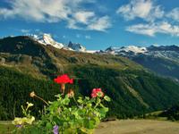 Auf der Sunnega &ndash; &copy; Steffen Mucke (Eberhardt TRAVEL)