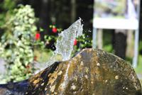 Aareschlucht &ndash; &copy; Gisela Gerlach (Eberhardt TRAVEL)
