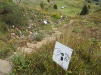Schynige Platte,Alpengarten &ndash; &copy; Gisela Gerlach (Eberhardt TRAVEL)