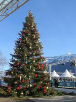 193 Silvester im Berner Oberland - Interlaken - Neujahrstag &ndash; &copy; Annette Weise (Eberhardt TRAVEL)