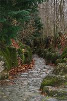 Hohle Gasse