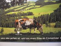 Emmental - SchaukÃ€serei &ndash; &copy; Annette Weise (Eberhardt TRAVEL)