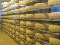 Emmental - SchaukÃ€serei &ndash; &copy; Annette Weise (Eberhardt TRAVEL)
