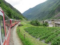 Glacier-Bernina-Reise, Fahrt mit dem Bernina-Express -  bei Brusio &ndash; &copy; Annette Weise (Eberhardt TRAVEL)