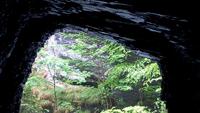 Aareschlucht, unsere gemeinsame Wanderung durch die Schlucht &ndash; &copy; Gisela Gerlach (Eberhardt TRAVEL)