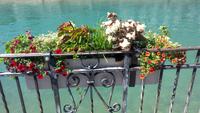 Thun, Stadtführerin mit Elsbeth Aebersold &ndash; &copy; Gisela Gerlach (Eberhardt TRAVEL)