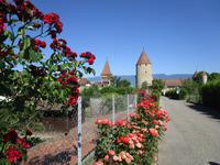 Estevayer-le-Lac. Schloss Cheaux &ndash; &copy; Peter Großer (Eberhardt TRAVEL)