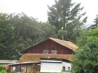 Storchendorf Altreu