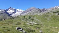 Fahrt mit dem Bernina-Express