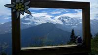 Schynige Platte &ndash; &copy; Gisela Gerlach (Eberhardt TRAVEL)