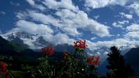 Wengen, Abschied &ndash; &copy; Gisela Gerlach (Eberhardt TRAVEL)