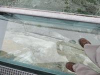 504 Ausflug zum Schilthorn - Birg - Thrillwalk &ndash; &copy; Annette Weise (Eberhardt TRAVEL)